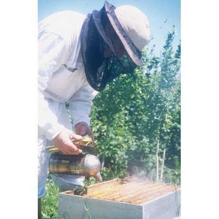 Apiculteur travaillant enfumant une ruche