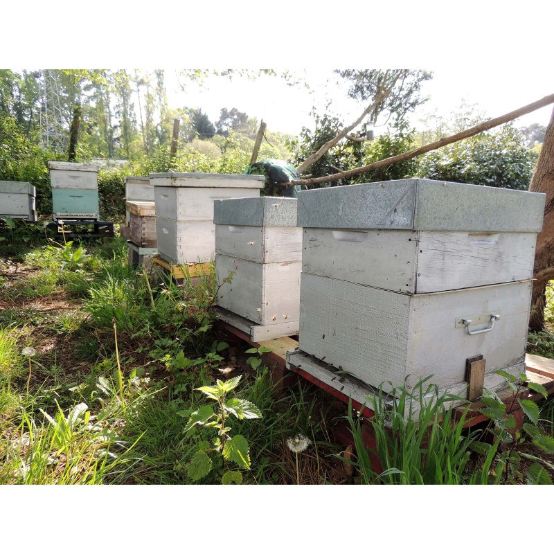 Sept ruches en campagne