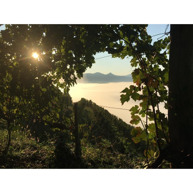 Paysage basque et domaine d'Abotia